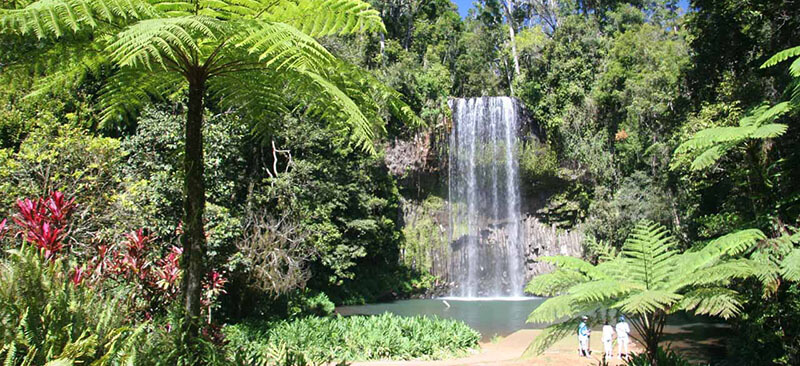 Millaa Millaa Falls
