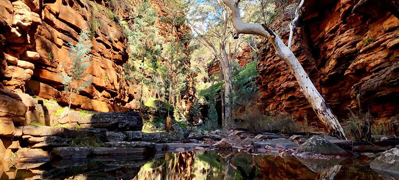Mount Remarkable National Park