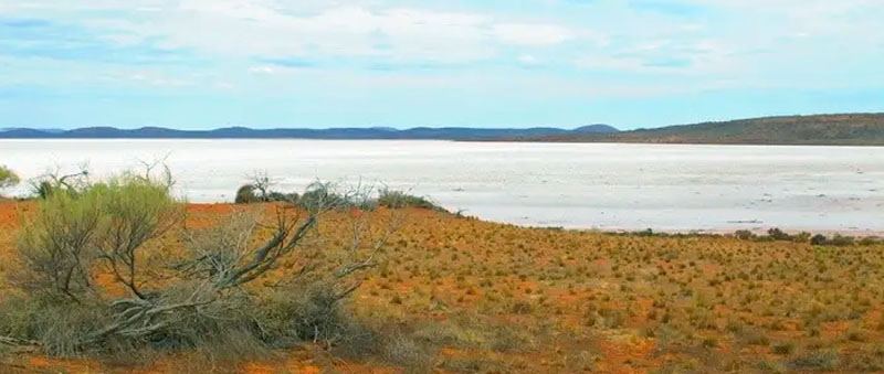 Lake Gairdner National Park